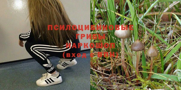 гашишное масло Беломорск